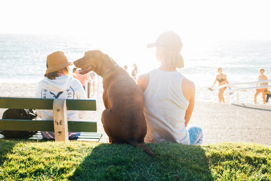 Essentials for Hot-Weather Adventures: Look Good, Feel Great