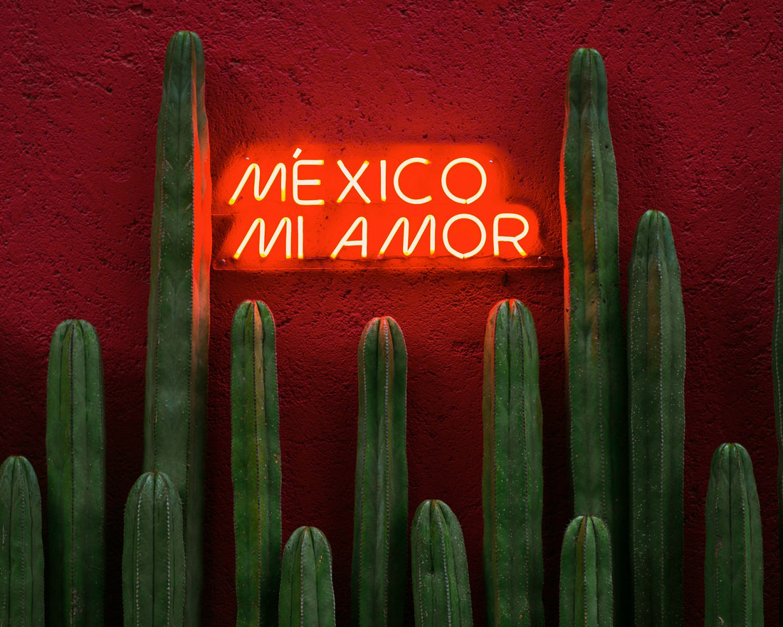 From Maple to Mariachi: How Canadians Stay Connected and Stress-Free with Holafly’s eSIM When Traveling to Mexico