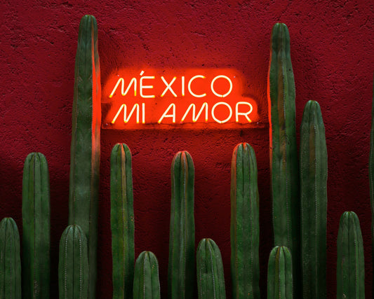 From Maple to Mariachi: How Canadians Stay Connected and Stress-Free with Holafly’s eSIM When Traveling to Mexico