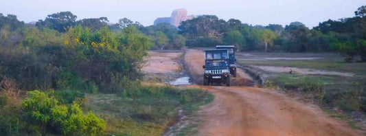 ruhunu safari camping yala sri lanka