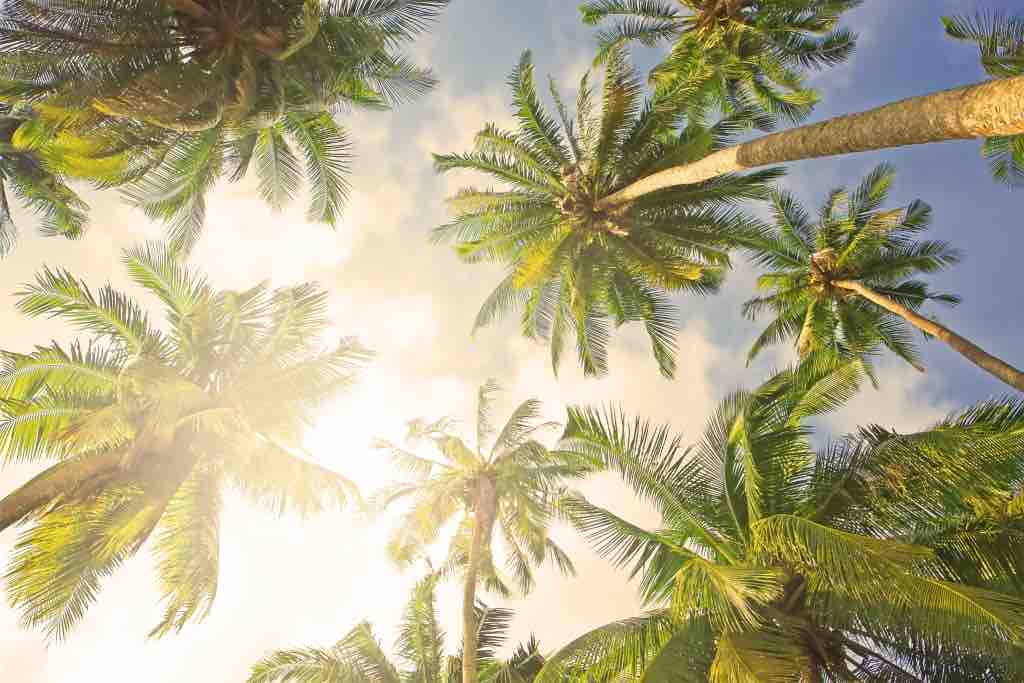 The 12 Best Carry-On Size Sunscreens for Families – Easy Planet Travel