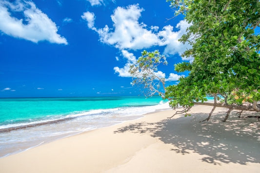 Guide rapide et facile des meilleures Îles des Caraïbes