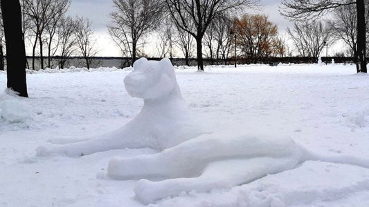 Quoi faire à Montréal sculpture sur neige