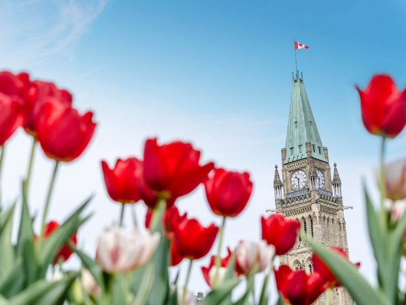 Quoi faire à Ottawa? 30 activités intérieures et extérieures à faire en famille