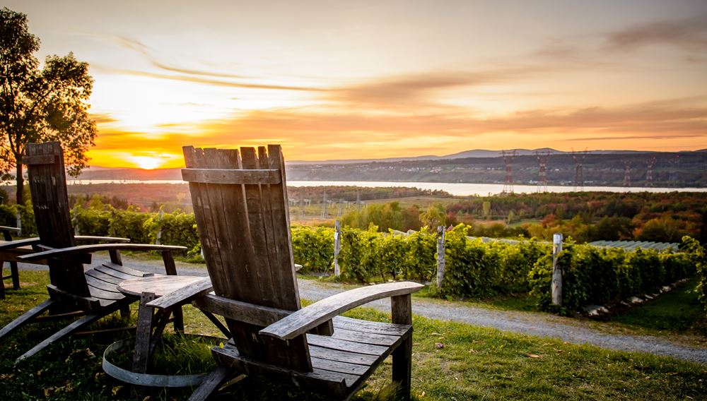 5 vignobles du Québec à absolument visiter cet été