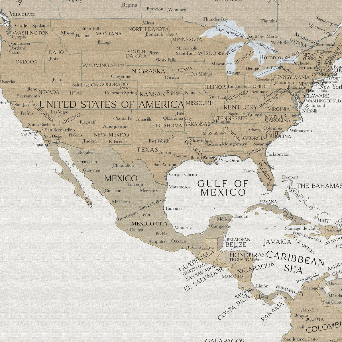Custom Political World Map Deep Beige