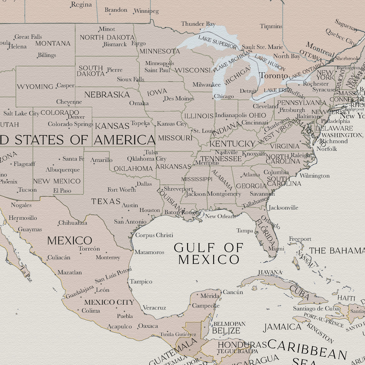 Custom Political World Map Light Beige