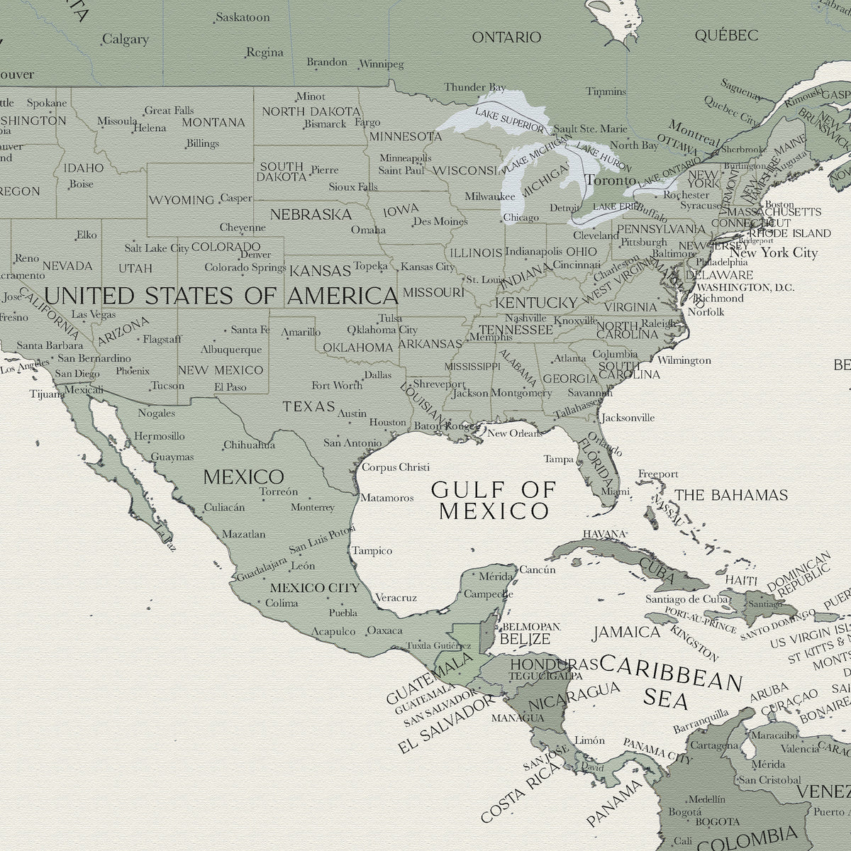 Custom Political World Map Olive