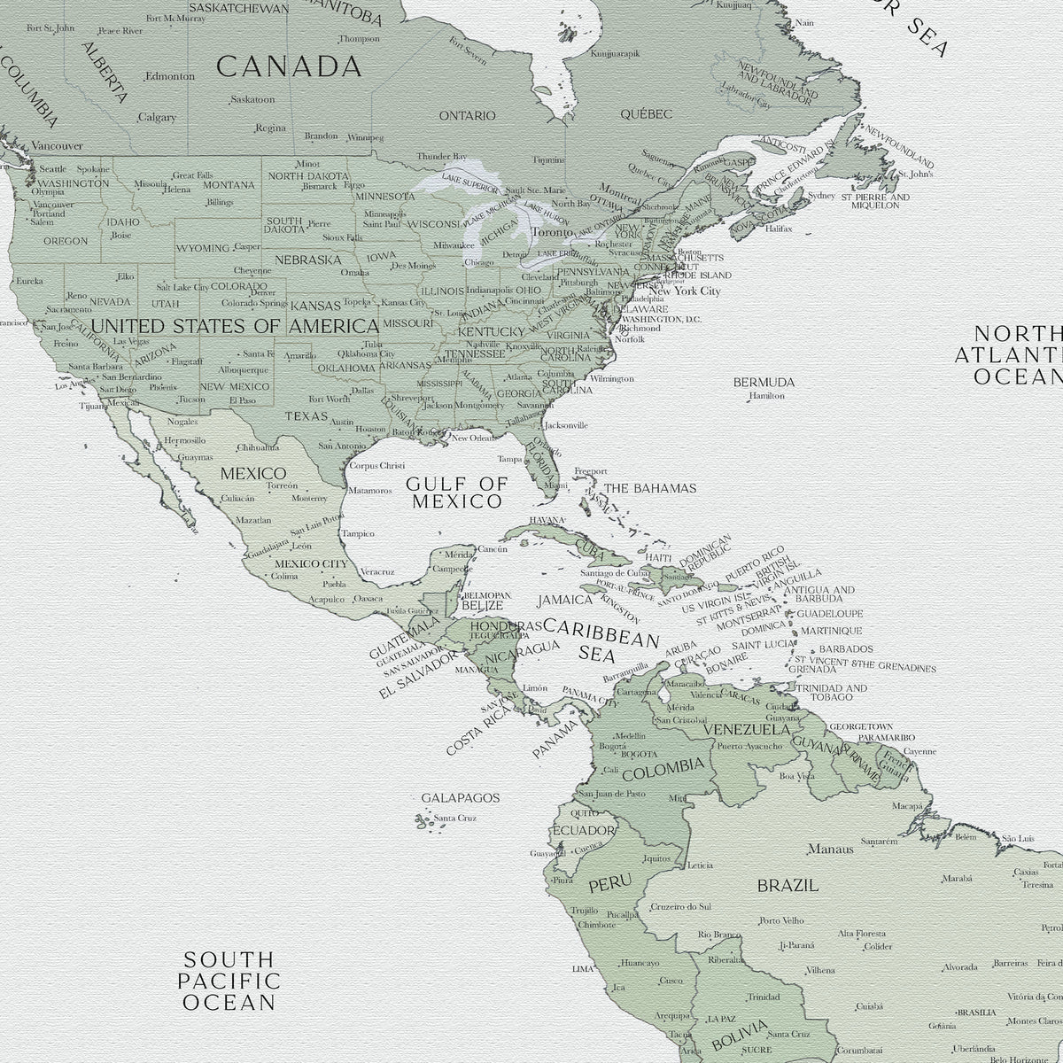 Custom Political World Map Light Sage