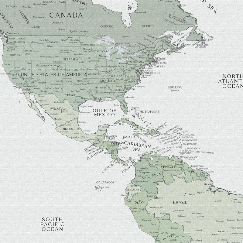 Carte du monde politique personnalisée sauge pâle