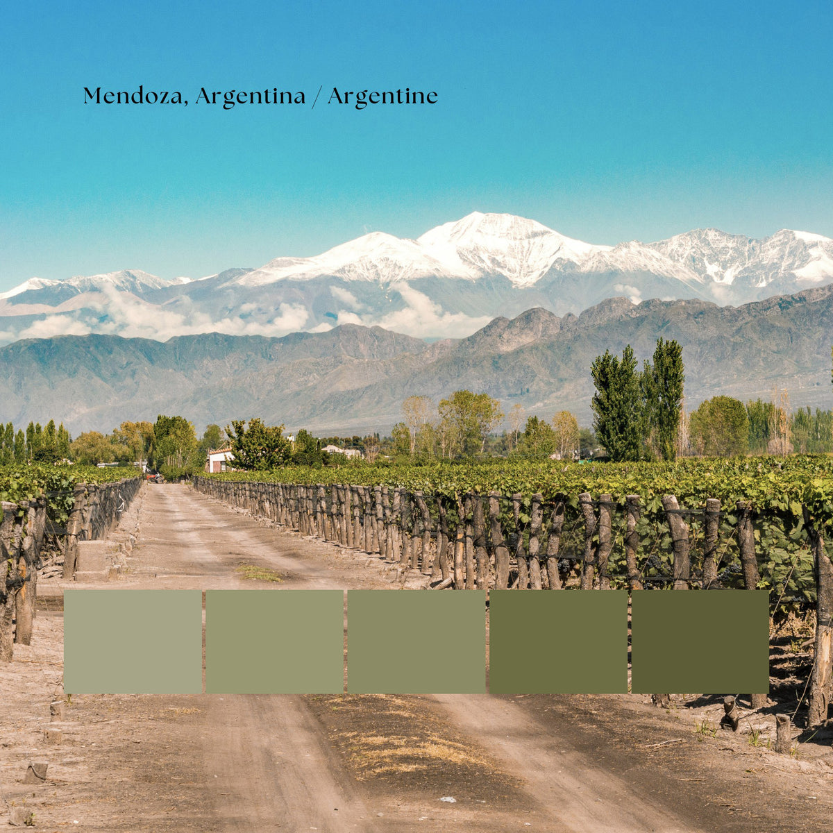 Custom Minimalist World Map Mendoza