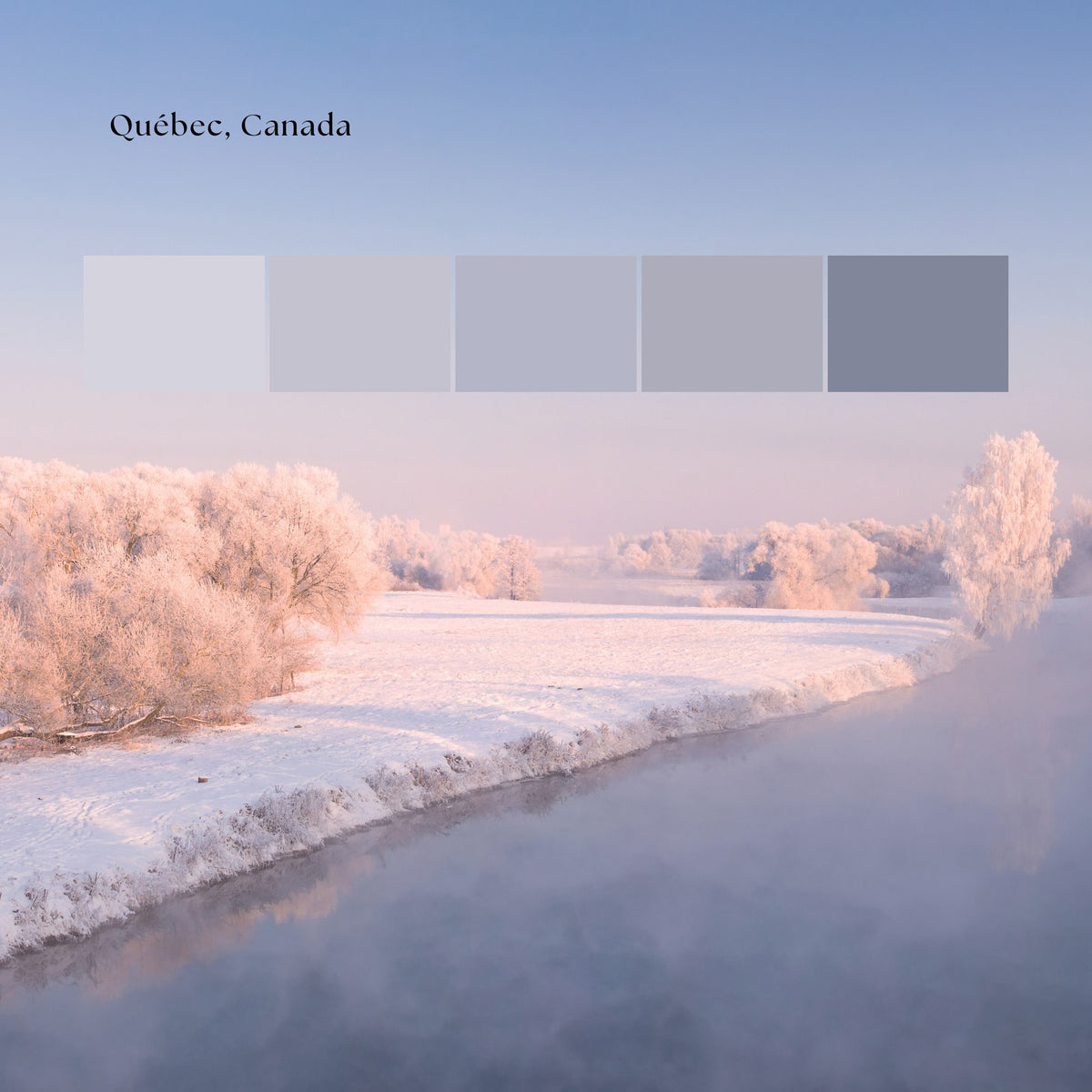 Custom Political World Map Quebec
