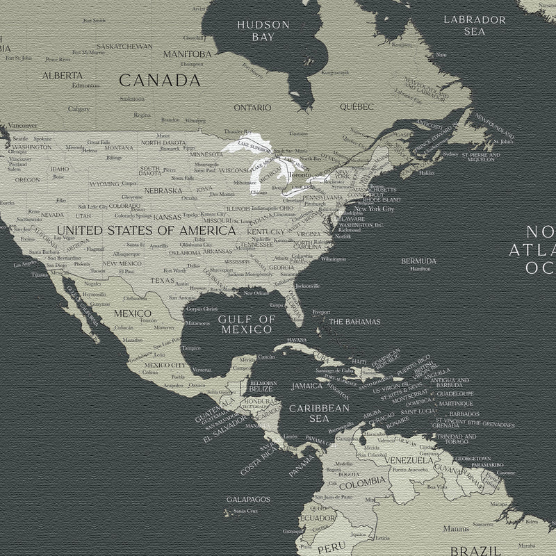 Custom Political World Map Dark Sage