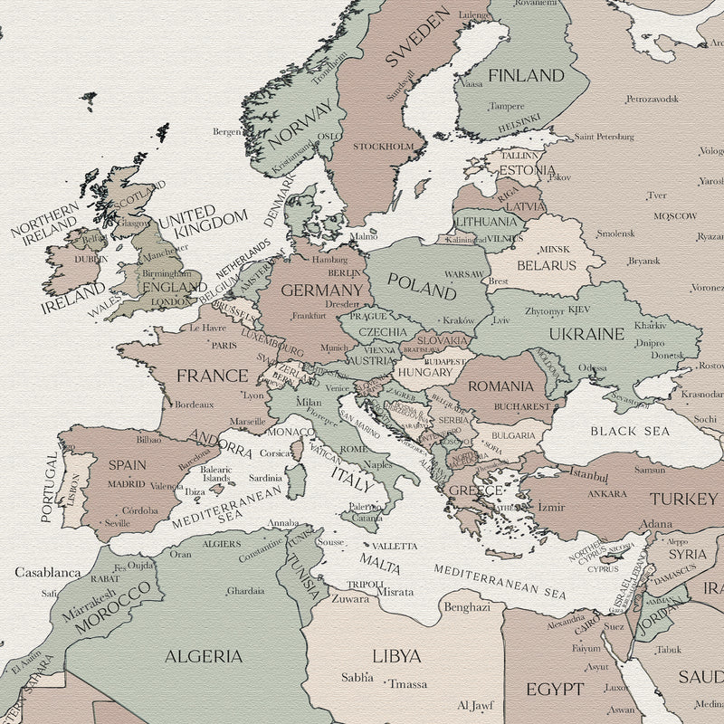 Custom Political World Map Desert