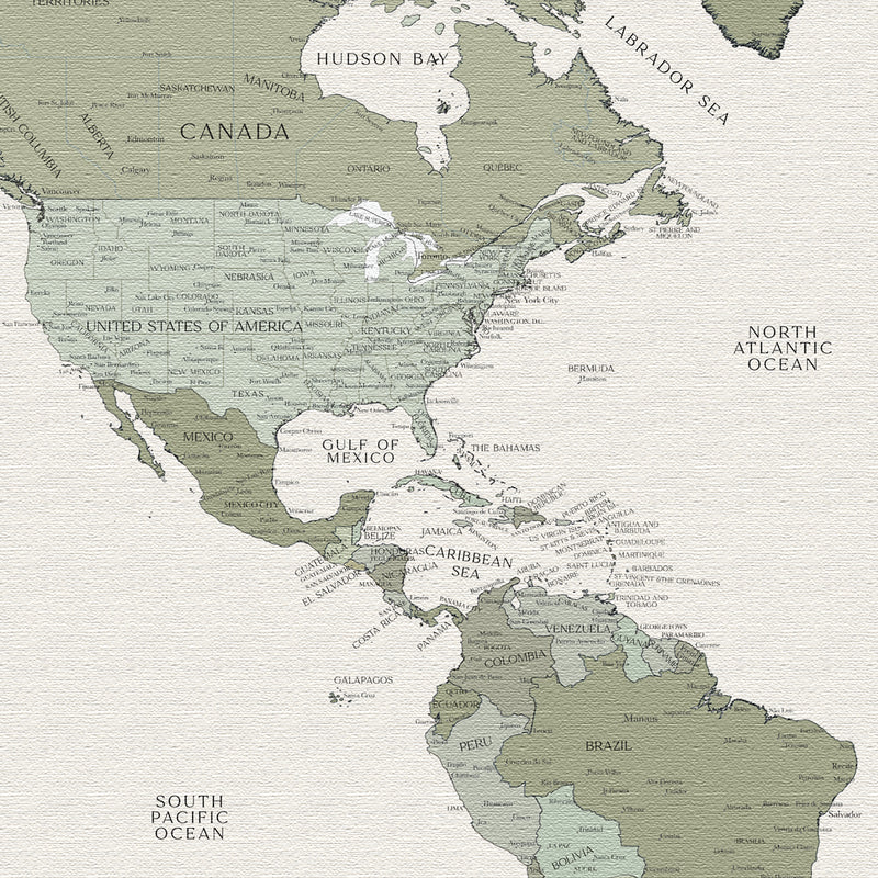 Carte du monde politique personnalisée rosée verdoyante