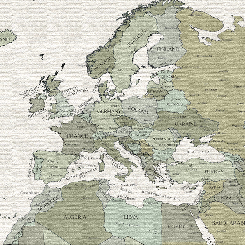 Carte du monde politique personnalisée rosée verdoyante