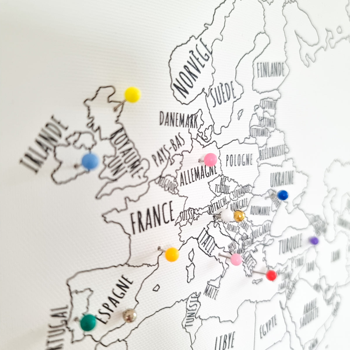 Punaises colorées pour carte du monde